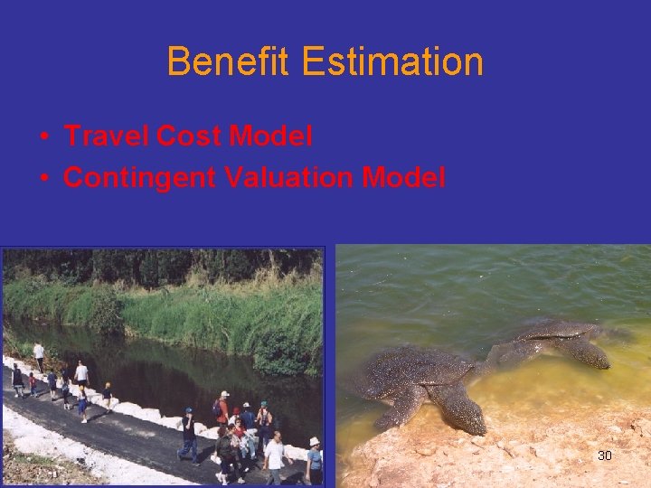 Benefit Estimation • Travel Cost Model • Contingent Valuation Model 30 