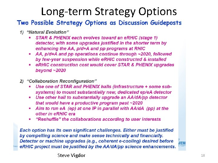 Long-term Strategy Options Steve Vigdor 18 Long-term Strategy Options Steve Vigdor 18