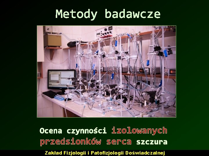 Metody badawcze Ocena czynności izolowanych przedsionków serca szczura Zakład Fizjologii i Patofizjologii Doświadczalnej Metody badawcze Ocena czynności izolowanych przedsionków serca szczura Zakład Fizjologii i Patofizjologii Doświadczalnej