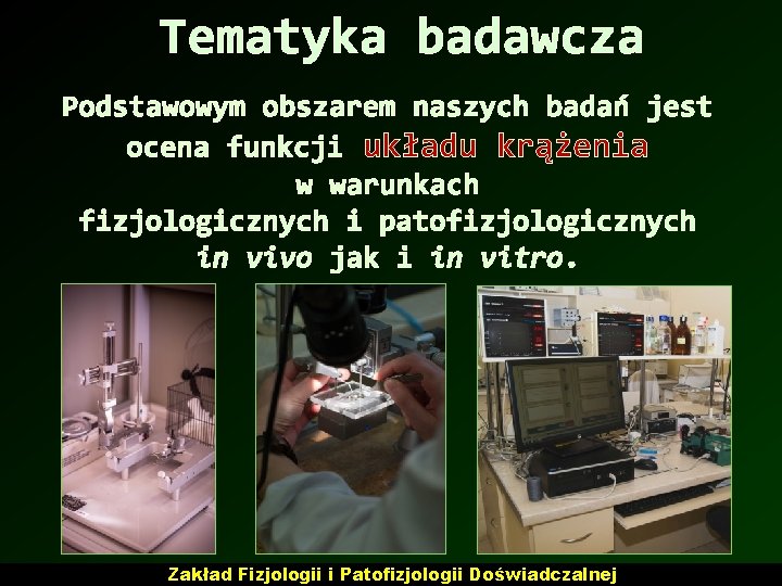 Tematyka badawcza Podstawowym obszarem naszych badań jest ocena funkcji układu krążenia w warunkach fizjologicznych Tematyka badawcza Podstawowym obszarem naszych badań jest ocena funkcji układu krążenia w warunkach fizjologicznych