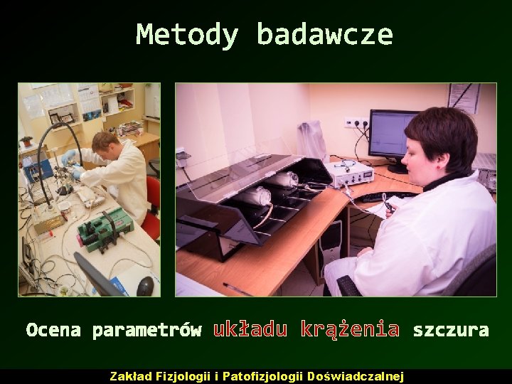 Metody badawcze Ocena parametrów układu krążenia szczura Zakład Fizjologii i Patofizjologii Doświadczalnej 