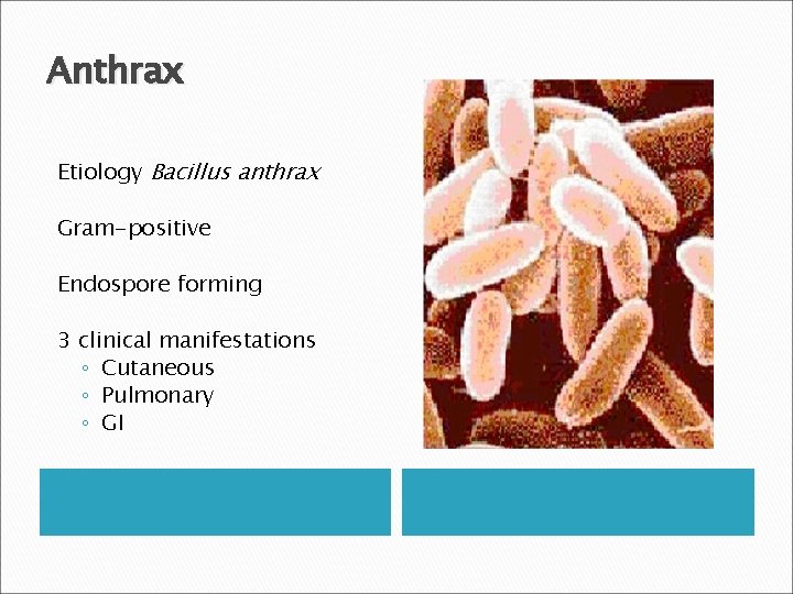 Anthrax Etiology Bacillus anthrax Gram-positive Endospore forming 3 clinical manifestations ◦ Cutaneous ◦ Pulmonary