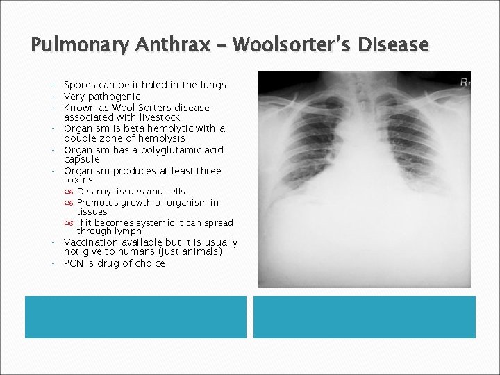 Pulmonary Anthrax – Woolsorter’s Disease ◦ Spores can be inhaled in the lungs ◦