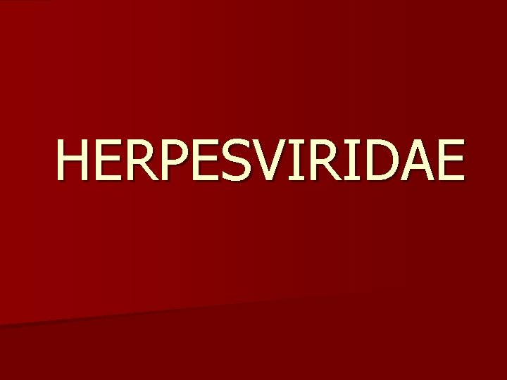 HERPESVIRIDAE 