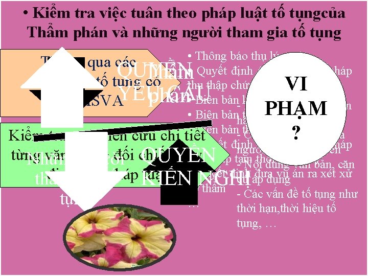  • Kiểm tra việc tuân theo pháp luật tố tụngcủa Thẩm phán và