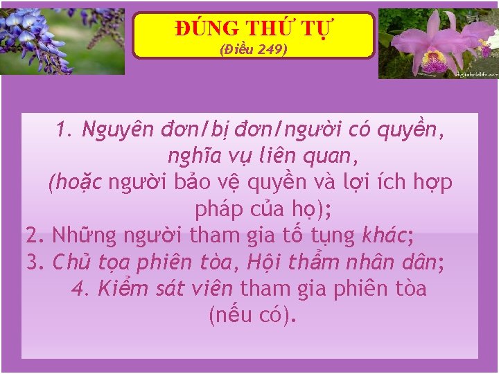 ĐÚNG THỨ TỰ (Điều 249) 1. Nguyên đơn/bị đơn/người có quyền, nghĩa vụ liên