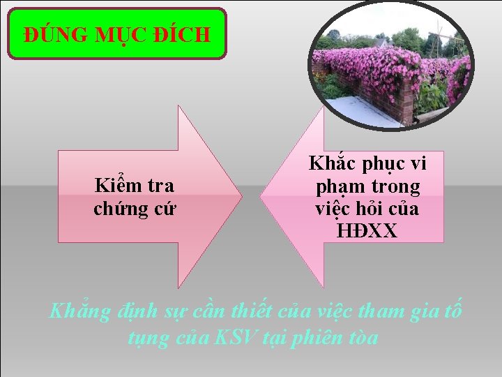 ĐÚNG MỤC ĐÍCH Kiểm tra chứng cứ Khắc phục vi phạm trong việc hỏi