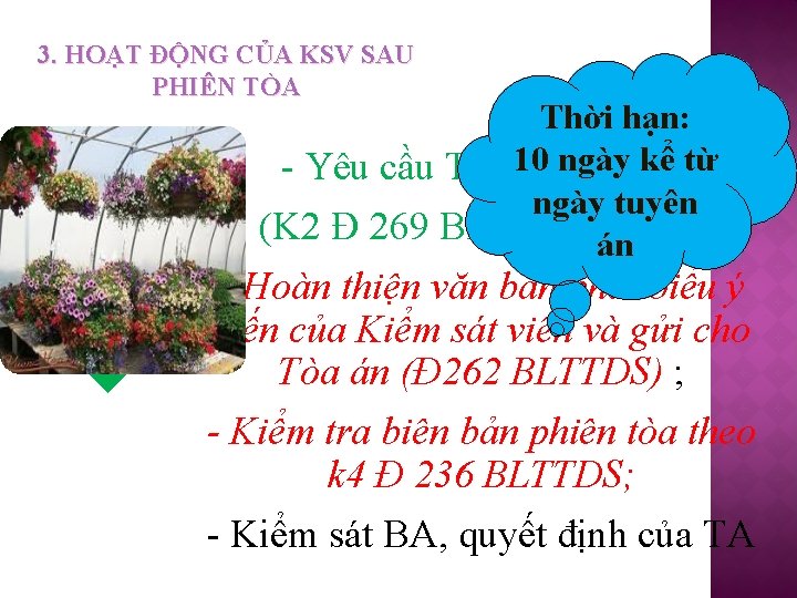 3. HOẠT ĐỘNG CỦA KSV SAU PHIÊN TÒA VIẾT BÁO CÁO Thời hạn: 10 3. HOẠT ĐỘNG CỦA KSV SAU PHIÊN TÒA VIẾT BÁO CÁO Thời hạn: 10