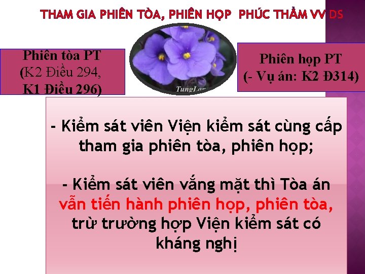 THAM GIA PHIÊN TÒA, PHIÊN HỌP PHÚC THẨM VV DS Phiên tòa PT (K