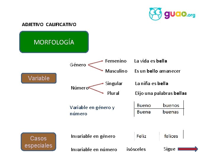 ADJETIVO CALIFICATIVO MORFOLOGÍA Género Variable Número Femenino La vida es bella Masculino Es un