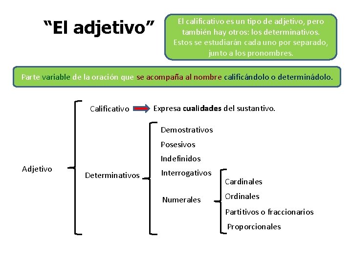 “El adjetivo” El calificativo es un tipo de adjetivo, pero también hay otros: los