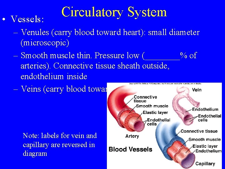  • Vessels: Circulatory System – Venules (carry blood toward heart): small diameter (microscopic)