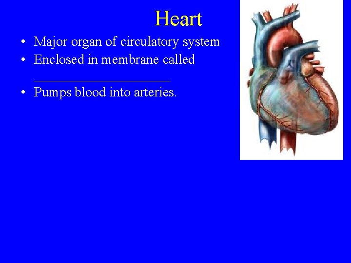 Heart • Major organ of circulatory system • Enclosed in membrane called __________ •