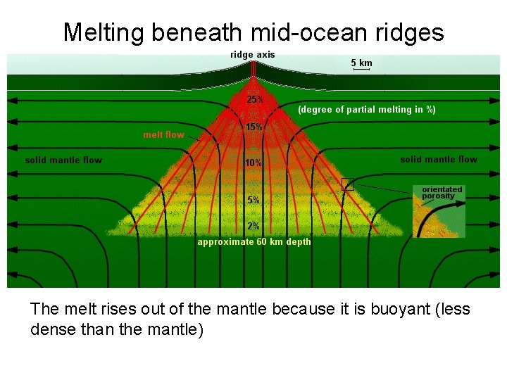 Melting beneath mid-ocean ridges The melt rises out of the mantle because it is