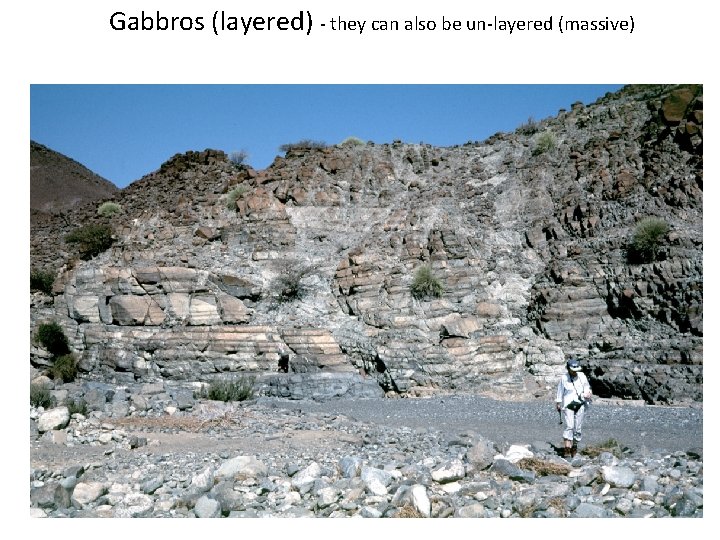 Gabbros (layered) - they can also be un-layered (massive) 