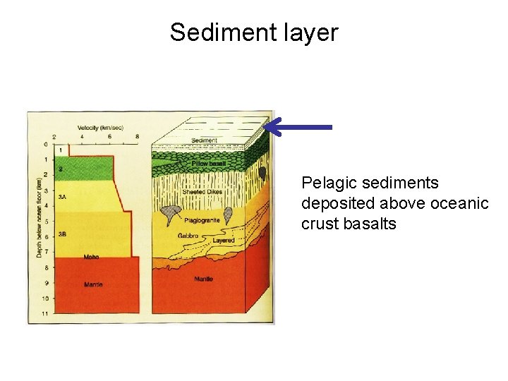 Sediment layer Pelagic sediments deposited above oceanic crust basalts 