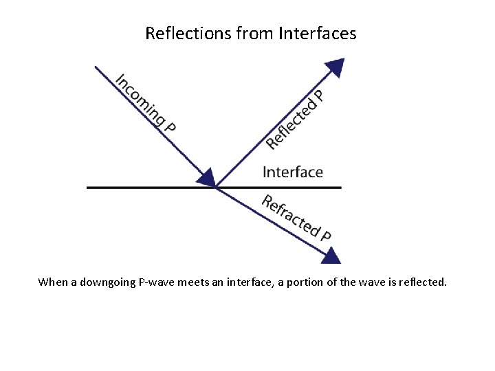 Reflections from Interfaces When a downgoing P-wave meets an interface, a portion of the