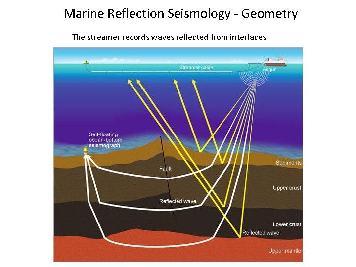 Marine Reflection Seismology - Geometry The streamer records waves reflected from interfaces 