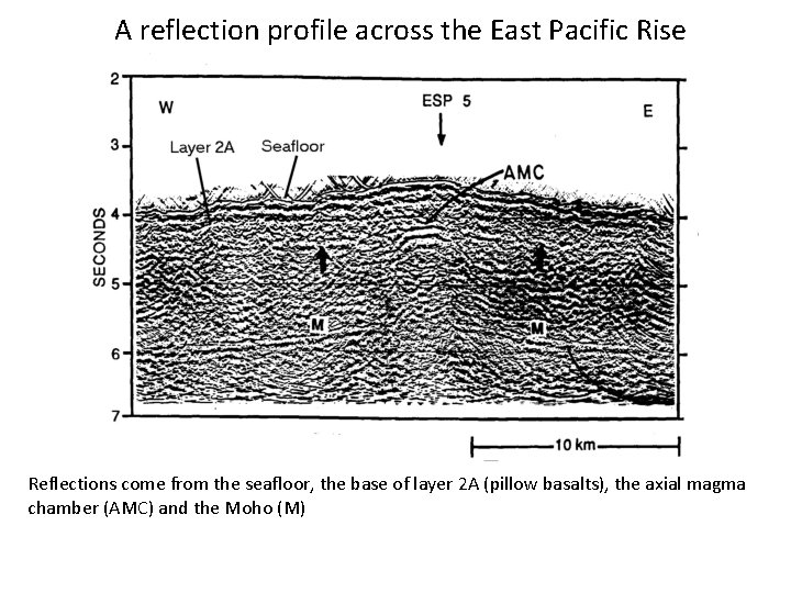 A reflection profile across the East Pacific Rise Reflections come from the seafloor, the