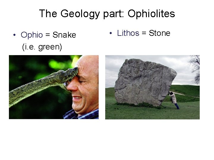 The Geology part: Ophiolites • Ophio = Snake (i. e. green) • Lithos =