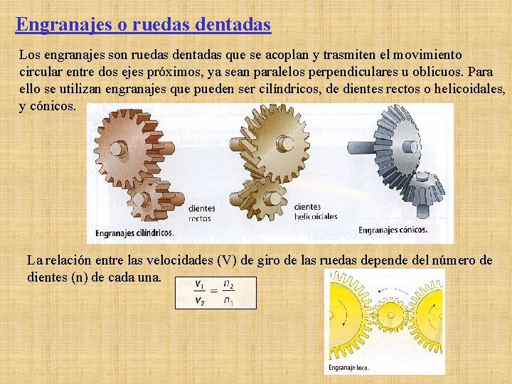 Engranajes o ruedas dentadas Los engranajes son ruedas dentadas que se acoplan y trasmiten Engranajes o ruedas dentadas Los engranajes son ruedas dentadas que se acoplan y trasmiten