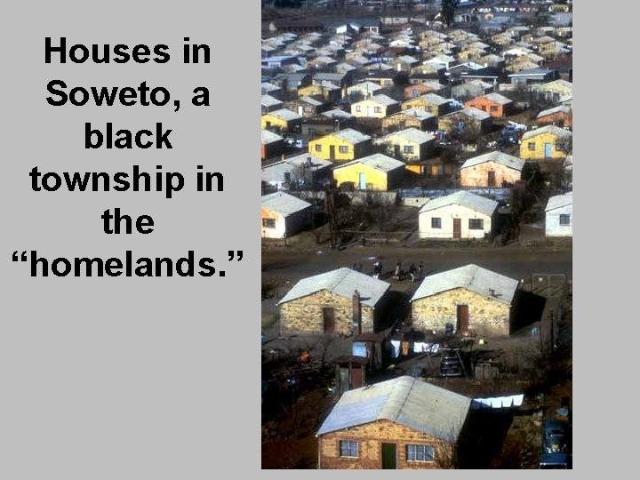 Houses in Soweto, a black township in the “homelands. ” 