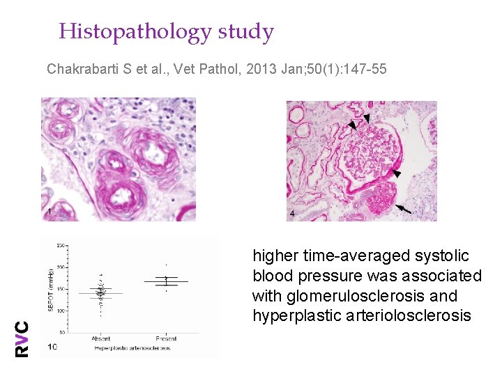 Histopathology study Chakrabarti S et al. , Vet Pathol, 2013 Jan; 50(1): 147 -55