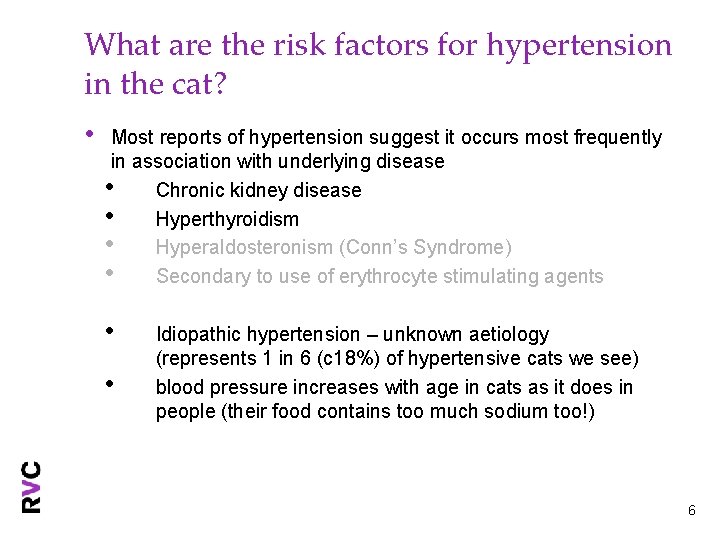 What are the risk factors for hypertension in the cat? • Most reports of