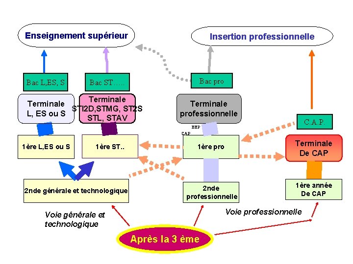 Schéma de l’orientation après la troisième Enseignement supérieur Bac L, ES, S Insertion professionnelle