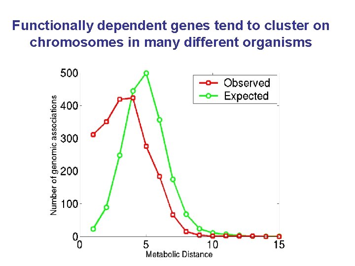 Functionally dependent genes tend to cluster on chromosomes in many different organisms 