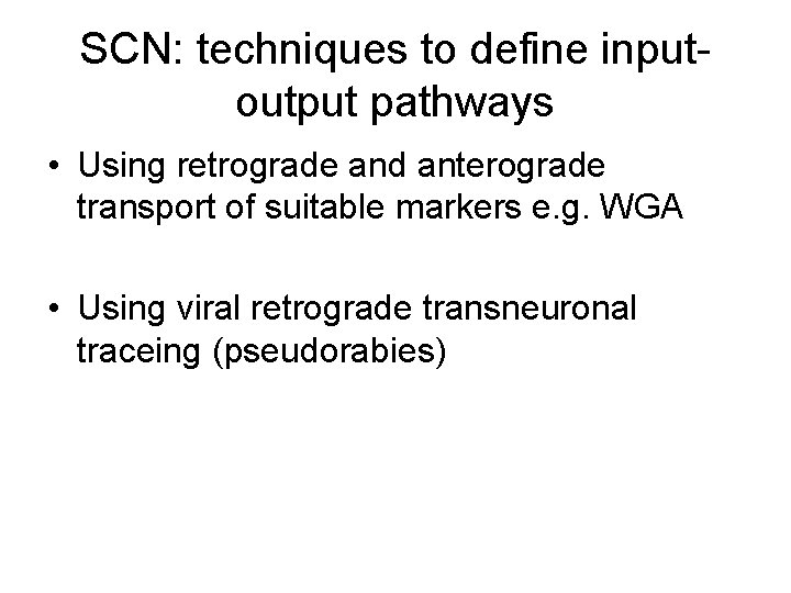 SCN: techniques to define inputoutput pathways • Using retrograde and anterograde transport of suitable