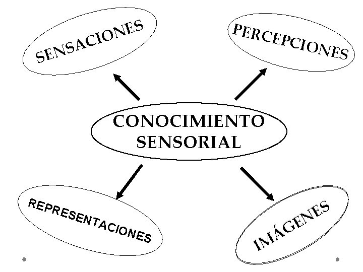 S E N O I C A S N SE PERC EPCI ONE CONOCIMIENTO