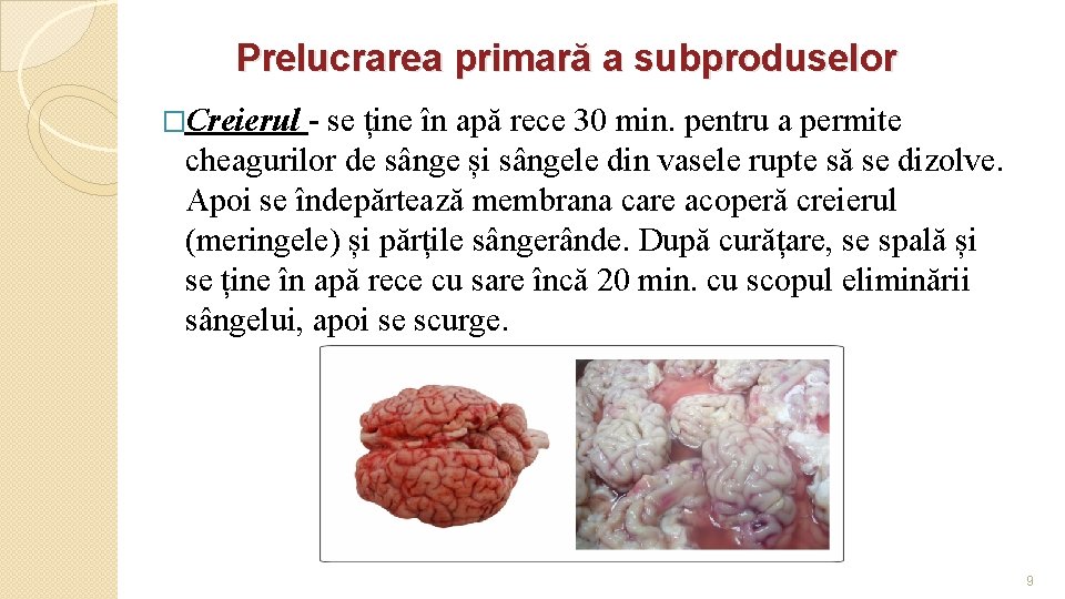 Prelucrarea primară a subproduselor �Creierul - se ține în apă rece 30 min. pentru