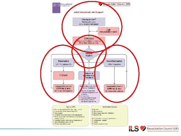 Adult ALS Algorithm 