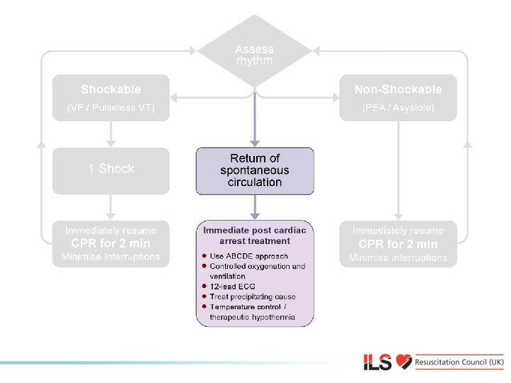 Immediate post-cardiac arrest treatment 