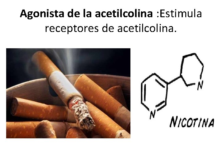 Agonista de la acetilcolina : Estimula receptores de acetilcolina. 