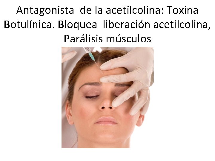Antagonista de la acetilcolina: Toxina Botulínica. Bloquea liberación acetilcolina, Parálisis músculos 