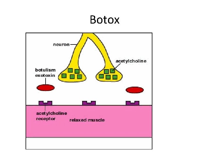 Botox 
