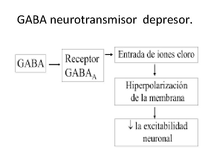 GABA neurotransmisor depresor. 