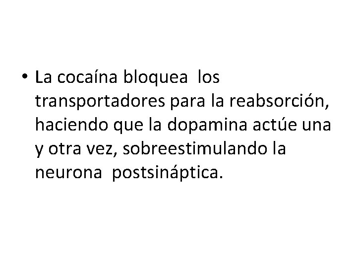  • La cocaína bloquea los transportadores para la reabsorción, haciendo que la dopamina