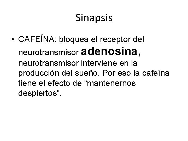 Sinapsis • CAFEÍNA: bloquea el receptor del neurotransmisor adenosina, neurotransmisor interviene en la producción