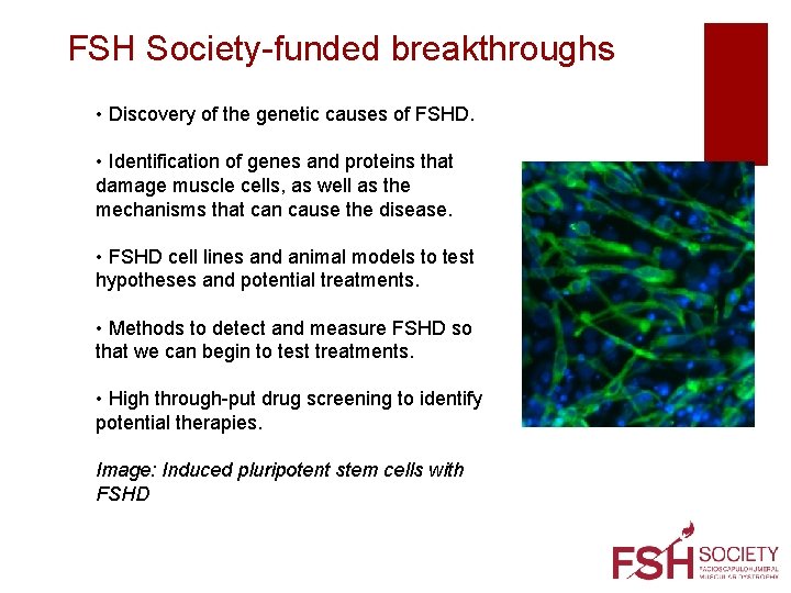 FSH Society-funded breakthroughs • Discovery of the genetic causes of FSHD. • Identification of