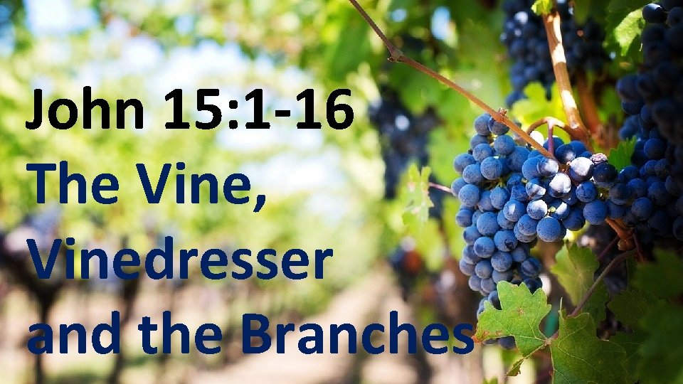 John 15: 1 -16 The Vine, Vinedresser and the Branches Prayer is Relationship 