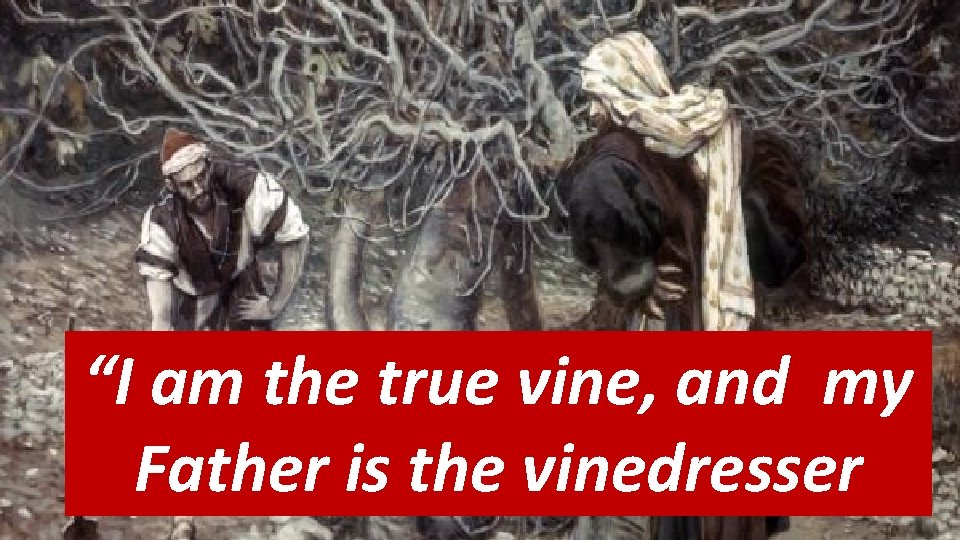 “I am the true vine, and my Father is the vinedresser Prayer is Relationship