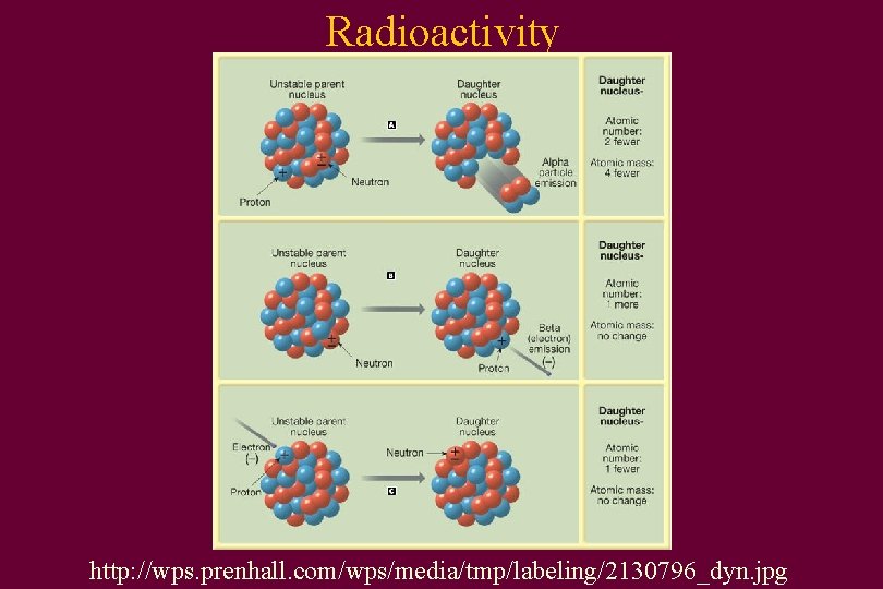 Radioactivity http: //wps. prenhall. com/wps/media/tmp/labeling/2130796_dyn. jpg 