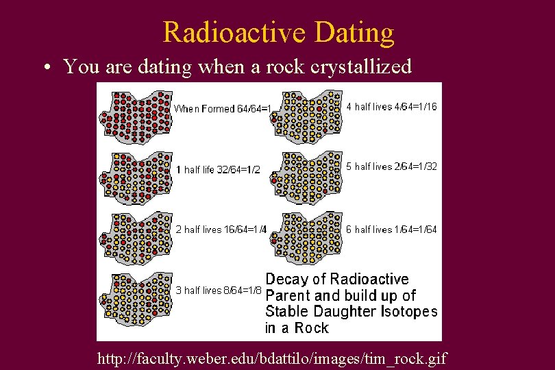 Radioactive Dating • You are dating when a rock crystallized http: //faculty. weber. edu/bdattilo/images/tim_rock.