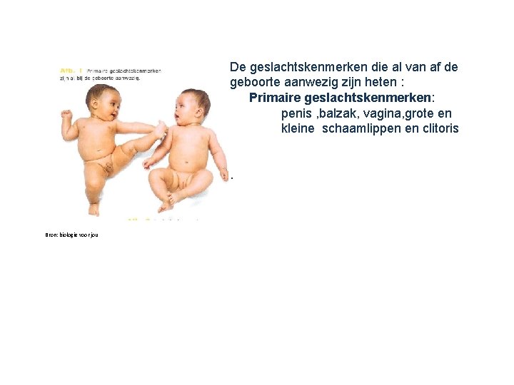 De geslachtskenmerken die al van af de geboorte aanwezig zijn heten : Primaire geslachtskenmerken: