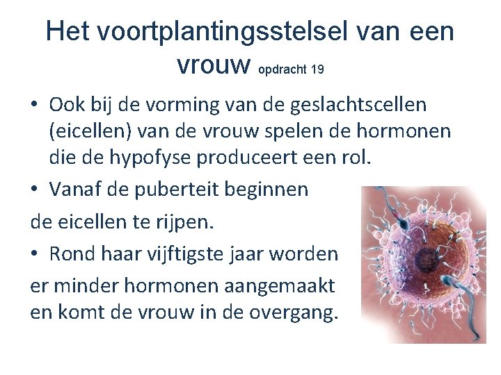 Het voortplantingsstelsel van een vrouw opdracht 19 • Ook bij de vorming van de