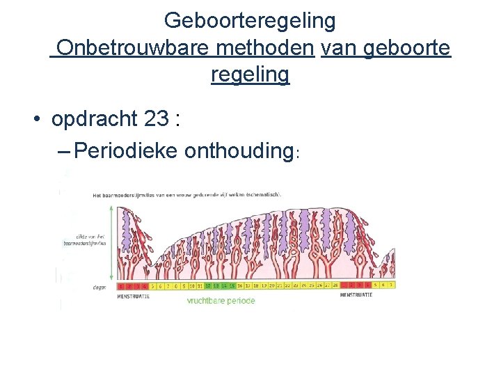 Geboorteregeling Onbetrouwbare methoden van geboorte regeling • opdracht 23 : – Periodieke onthouding: 