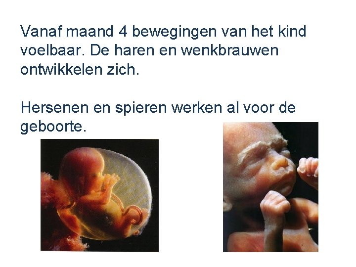 Vanaf maand 4 bewegingen van het kind voelbaar. De haren en wenkbrauwen ontwikkelen zich.